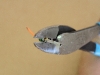13-crimpers02 13-crimpers02